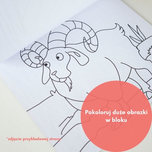 Zdrap naklejkę za pomocą dołączonego rysika(14).png