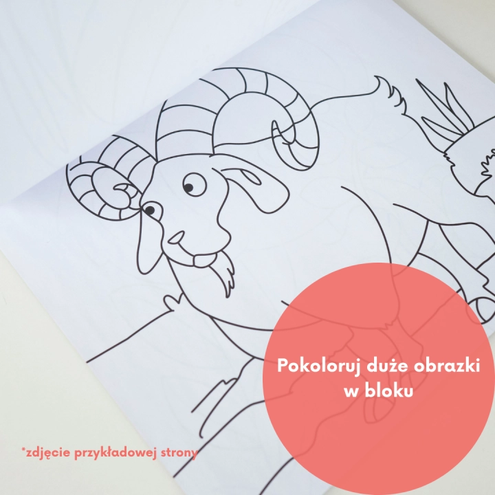 Zdrap naklejkę za pomocą dołączonego rysika(14).png