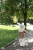 IMG_1040-720x1080 — kopia.webp