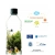 butelka-na-wode-bpa-free.webp