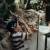 5_81306114-5419-435d-8d17-7340da881371.webp