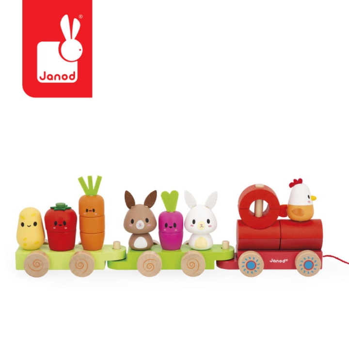 pol_pl_Janod-Pociag-z-klockami-i-figurkami-do-ciagniecia-Farma-12m-13400_1.jpg