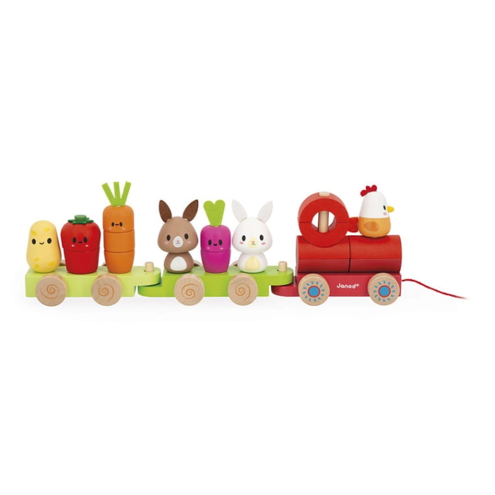 pol_pl_Janod-Pociag-z-klockami-i-figurkami-do-ciagniecia-Farma-12m-13400_22.jpg