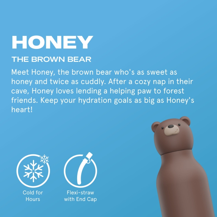 SBV44-BROWN-BEAR-3.jpg