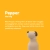 28.webp