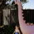 S51GIDNP_13.webp