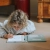 9_b30f6efc-4ce5-428d-8788-d605ba49c416.webp