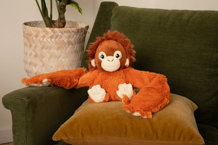 Orangutanonchair2.webp