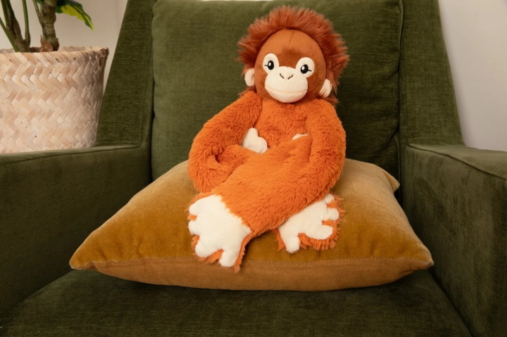 Orangutanpersonalitysolo.webp