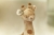 pol_pl_Little-Dutch-Przytulanka-Zyrafa-Safari-Friends-GRS-6036_12.jpg