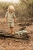 pol_pl_Little-Dutch-Przytulanka-Krokodyl-Safari-Friends-GRS-6035_11.jpg