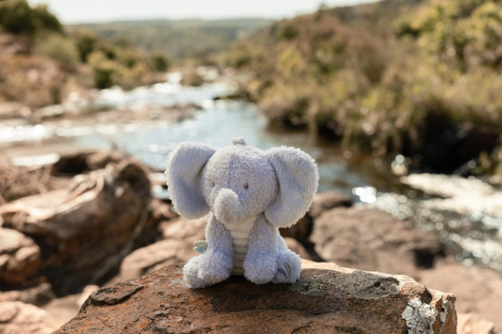pol_pl_Little-Dutch-Przytulanka-Slon-17cm-Safari-Friends-GRS-6029_8.jpg