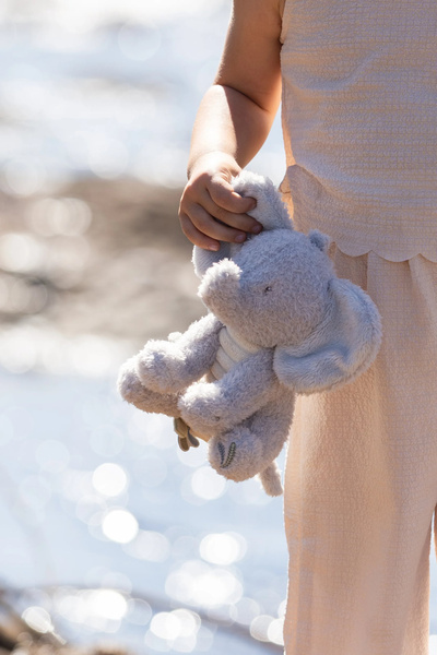 pol_pl_Little-Dutch-Przytulanka-Slon-17cm-Safari-Friends-GRS-6029_4.jpg