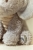 pol_pl_Little-Dutch-Przytulanka-Slon-17cm-Safari-Friends-GRS-6029_13.jpg