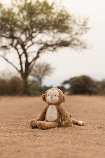 pol_pl_Little-Dutch-Przytulanka-Malpka-Safari-Friends-GRS-6040_13.jpg