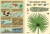 phpThumb_generated_thumbnailjpg4.jpg