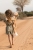 pol_pl_Little-Dutch-Przytulanka-duza-Malpka-Safari-Friends-GRS-6039_2.jpg