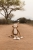 pol_pl_Little-Dutch-Przytulanka-duza-Malpka-Safari-Friends-GRS-6039_14.jpg