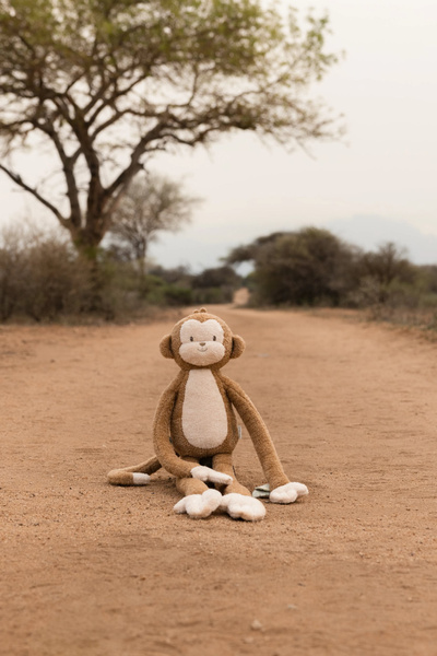 pol_pl_Little-Dutch-Przytulanka-duza-Malpka-Safari-Friends-GRS-6039_14.jpg
