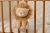 pol_pl_Little-Dutch-Pozytywka-Lew-Safari-Friends-6042_6.jpg