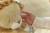 pol_pl_Little-Dutch-Lew-aktywizujacy-Safari-Friends-GRS-6049_7.jpg