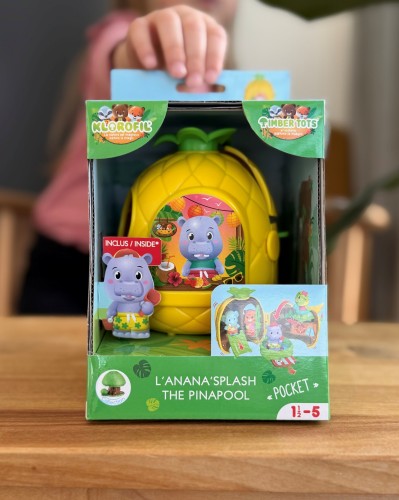 klorofil-ananas-w-pudelku-domek-z-basenem.jpg