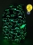 plecak-trzykomorowy-lizbona-miquelrius-dinozaury-15l4.jpg