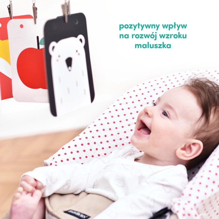 Starter Malucha Co widzę - książeczki i karty kontrastowe