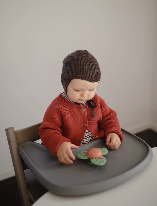 Przyssawka Spinner dla Niemowlaka Dino Mushie