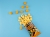image_processing20260728-25345-habixf.jpeg