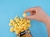 image_processing20260728-25345-4urac0.jpeg