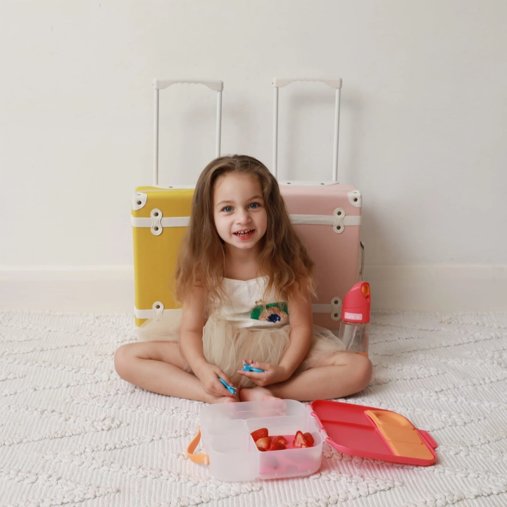 @frankiloveszara lunchbox (4).jpg