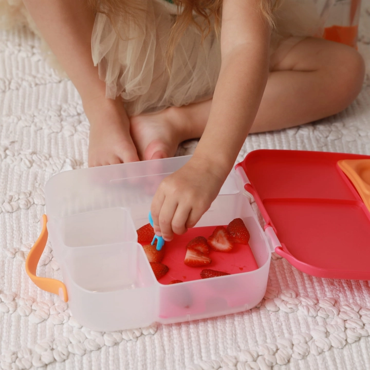 @frankiloveszara lunchbox.jpg