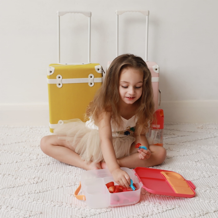 @frankiloveszara lunchbox (5).jpg