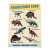 prehistoric-land-temporary-tattoos-28047_1.png