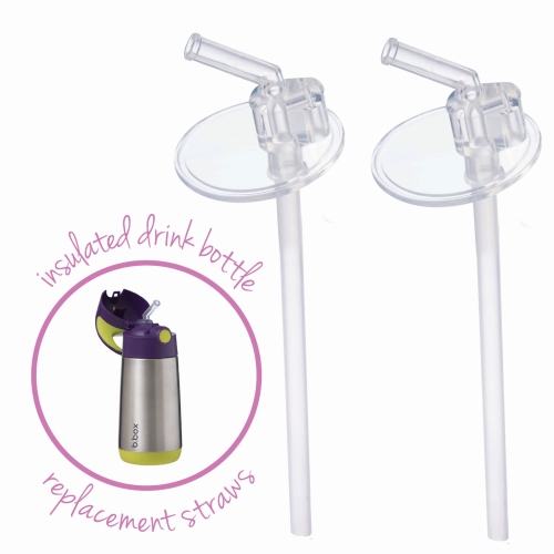 691_insualted-drink-bottle_replacement-straw_main.jpg