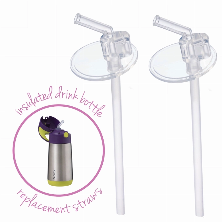 691_insualted-drink-bottle_replacement-straw_main.jpg